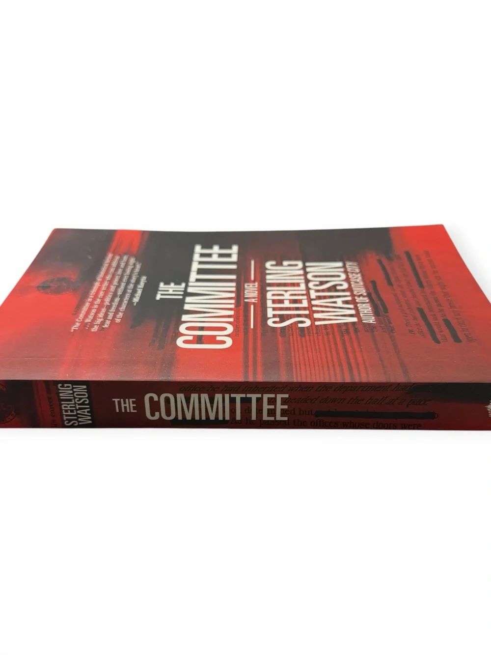 Sterling Watson The Committee Novel Florida Historical Fiction Paperback